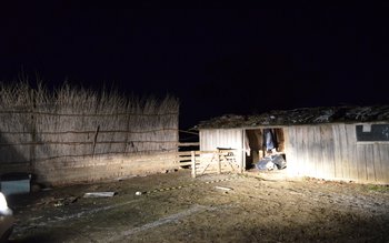 Ţigări de contrabandă ascunse la …