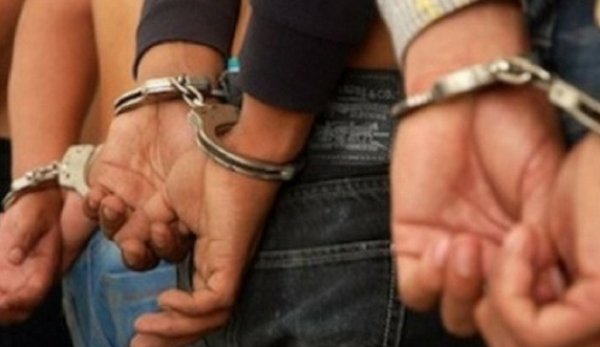 Trei tineri din Drăguşeni reținuți pentru furt