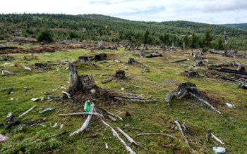România a primit avertismente dure …
