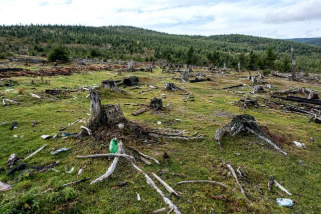 România a primit avertismente dure de la CE, din cauza poluării și a tăierilor de păduri