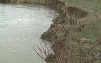 Hectare întregi din teritoriul României …