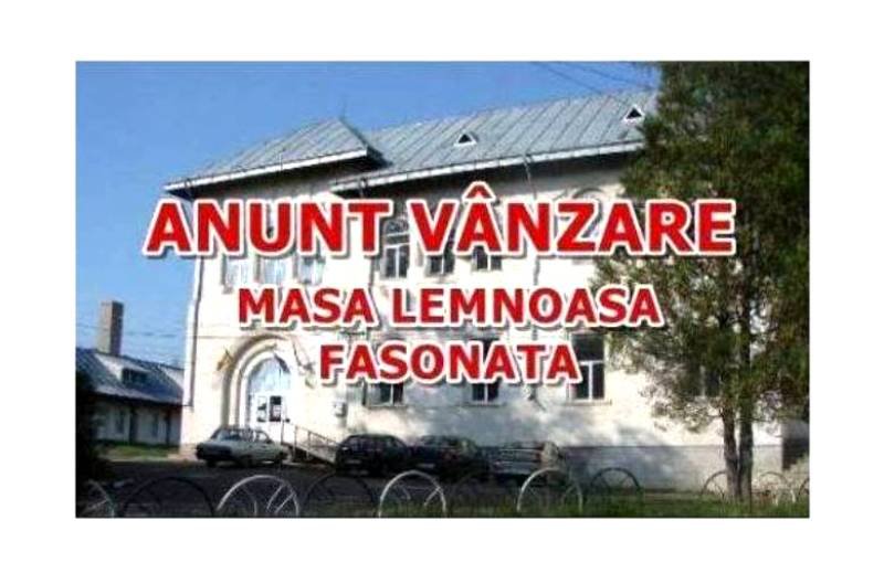 Liceul Teoretic „Anastasie Bașotă” Pomârla anunță organizarea licitației de masă lemnoasă pe picior și masă lemnoasă fasonată gorun la drum auto