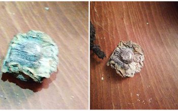 Flăcările i-a mistuit agoniseala de-o …