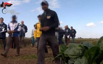 Zeci de români au fost …