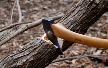 Percheziţie la locuinţa unui bărbat …