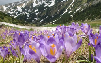 Temperaturi de 20 de grade …
