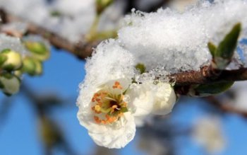 Meteorologii anunță răcire accentută, intensificări …