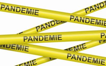 Un consilier local PNL venit …