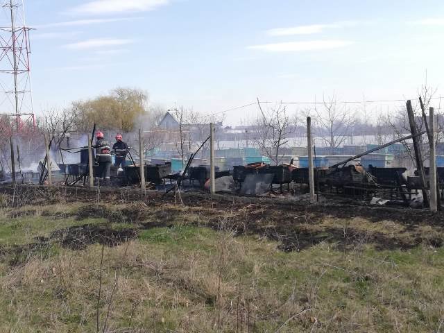 Peste 30 de stupi de albine distruși de un incendiu scăpat de sub control