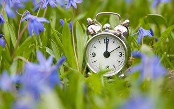 NU UITA! La noapte ROMÂNIA …