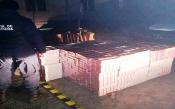 Virusul ucigaș nu oprește contrabanda. …