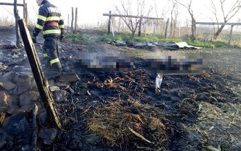 Neglijență păguboasă! Nu s-a asigurat …