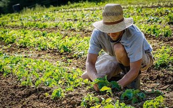 E trădare națională! Guvernul Orban, …