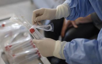 290 de persoane din care …