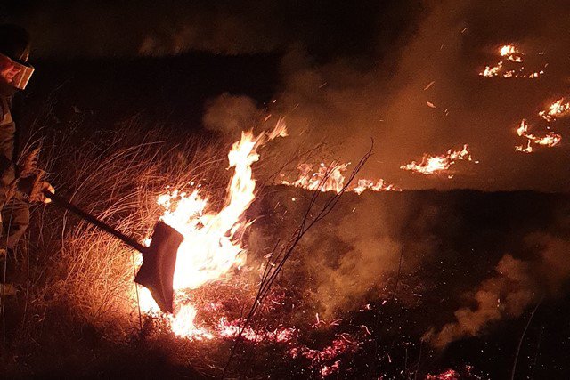 Incendiu puternic la Nicșeni! Mai multe hectare mistuite de foc