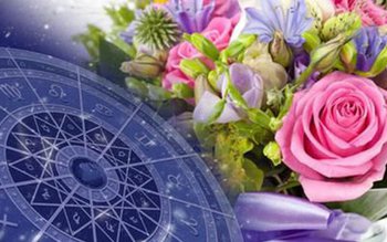 Plantele vindecătoare și zodiile! Care …