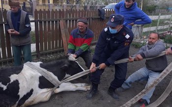 Intervenție cu „greutate” a pompierilor. …