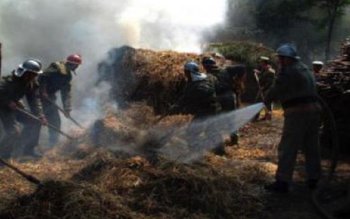 15 tone de furaje distruse …