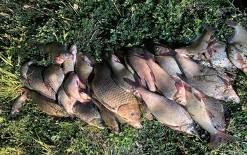 Pescari la vreme de seară. …