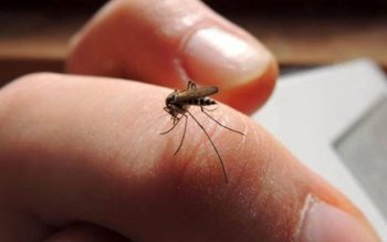 Se poate transmite coronavirusul prin …