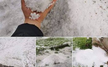 Grindina a făcut prăpăd în …