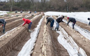 Alertă în Germania! 13 muncitori …