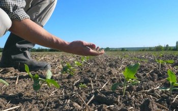 A fost aprobată înființarea Comisiei …