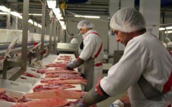 Mai mulţi muncitori români dintr-o …