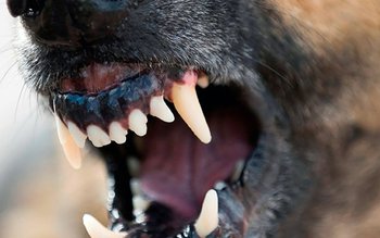 Tragedie la Roma! Bărbat de …