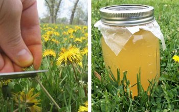 Un elixir pentru sănătate! Cum …