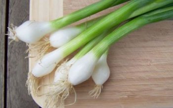 Ceapa verde, o delicatesă vegetală …