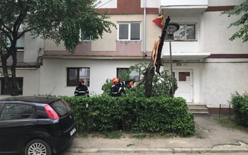 Pompierii în alertă din cauza …