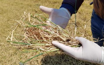 Comunicat de presă: „SECETA aduce …