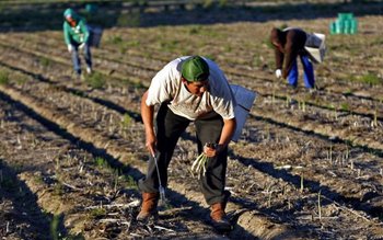 Situaţie dramatică! Mai muncitori români …
