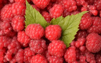 Fructul minune care ajută memoria …