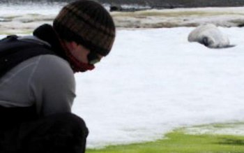 Locuri din Peninsula Antarctică au …