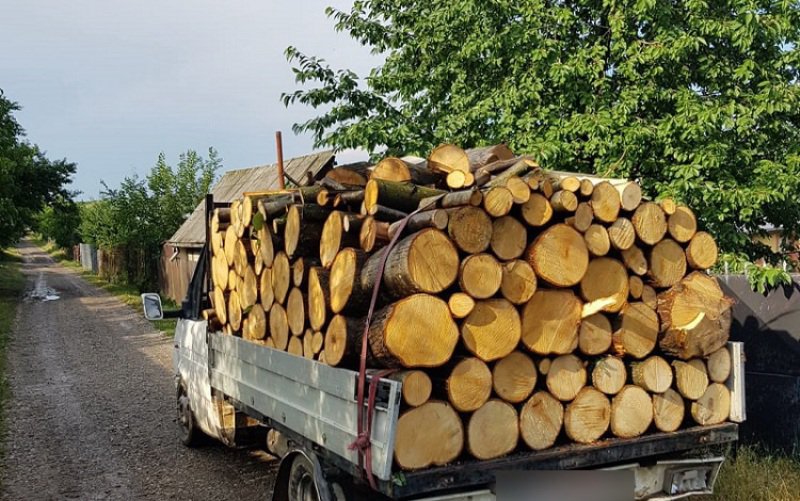 Încă un transport ilegal de material lemnos confiscat, încă o amendă....