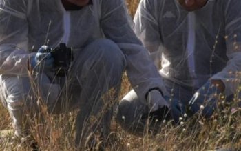 Descoperire macabră! Craniu și oase …