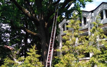 Misiune inedită pentru pompierii din …