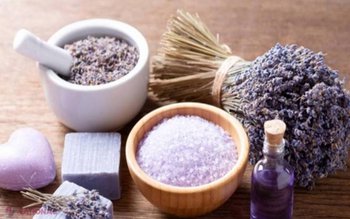 Lavanda și proprietățile terapeutice pe …