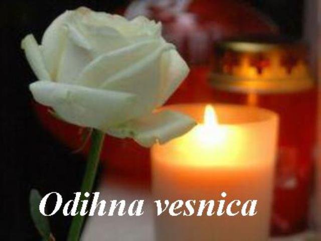 Mesaj de condolenațe din partea PNL Botoșani pentru familia Minodorei Vasiliu