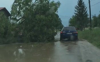 Furtunile au afectat județul Botoșani: …