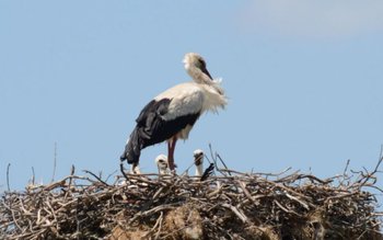 Uite, barza! Ediția 2020 a …