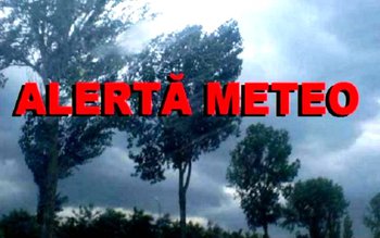 Revin furtunile! Cod portocaliu de …