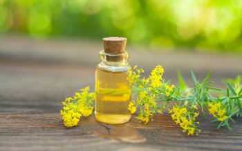 Leacul din bătrâni cu beneficii …