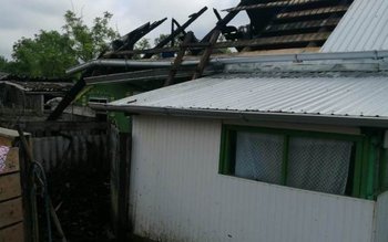 O botoșăneancă a vrut să …