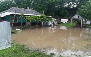 Patru gospodării din Săveni au …