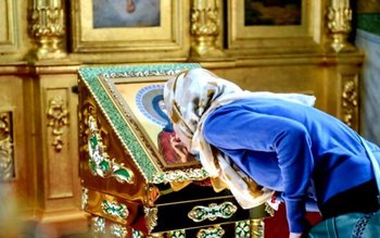 Ce REGULI trebuie să respecte …