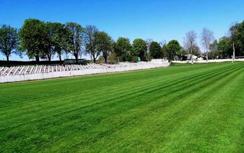 Liber la alergare pe stadionul …