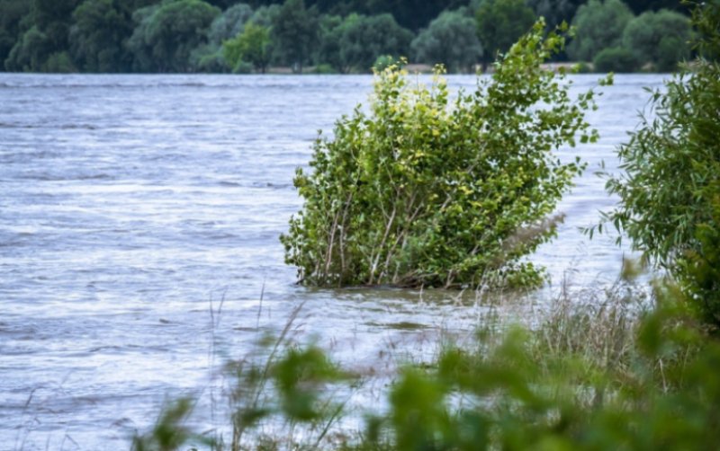 COD ROȘU de inundații pe râul Prut. Autoritățile sunt în alertă!